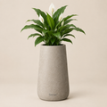 Zirevqo™ Large Tapered Floor Planter image 01