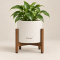 Zirevqo™ Modern Elevated Floor Planter image 01