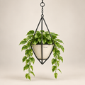 Zirevqo™ Metal-Frame Hanging Planter image 01