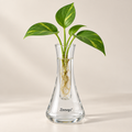 Zirevqo™ Minimal Hydroponic Glass Vase image 01